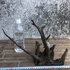流木3点セットの画像
