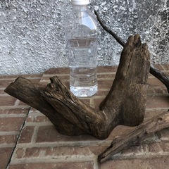 流木3点セットの画像
