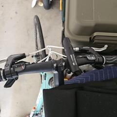 クロスバイク ビアンキ カメレオンの画像