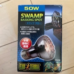 【最終価格❗️】グラステリアスリム 600水槽の画像