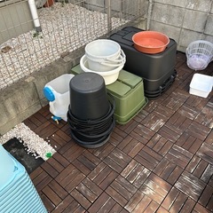 メダカ＆単管パイプコンクリート容器の画像