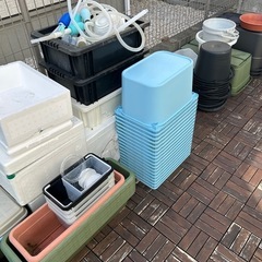 メダカ＆単管パイプコンクリート容器の画像