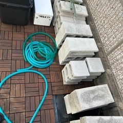 メダカ＆単管パイプコンクリート容器の画像