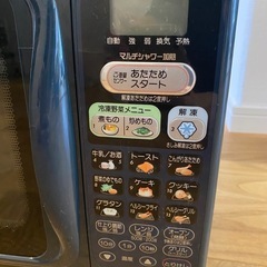 【決定】電車レンジ　サンヨーの画像