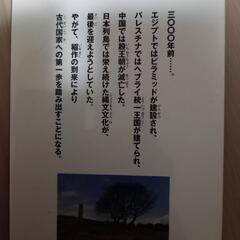 歴史の本　漫画(15)の画像