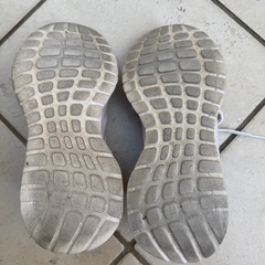 白　adidas アディダス　運動靴　中古　23.0cmの画像
