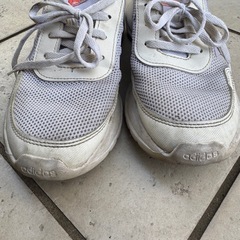 白　adidas アディダス　運動靴　中古　23.0cmの画像