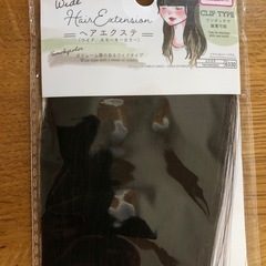 ヘアエクステ　２つの画像