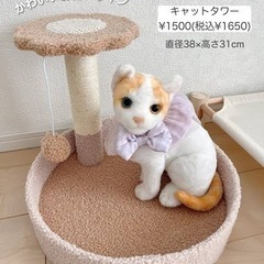 【美品です】キャットタワー　スリーコインズの画像