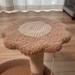【美品です】キャットタワー　スリーコインズの画像