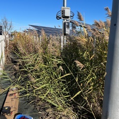 栃木県足利市【太陽光発電所オーナー様向け】草刈り・除草剤散布・点...