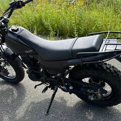 ☆激レア☆ 8900km実走行　ヤマハ  TW225E　の画像