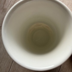 おしゃれ　マグカップ、デミカップ　セットの画像