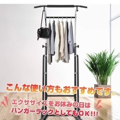 ぶら下がり健康具  懸垂、物干しに使えます！の画像