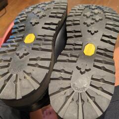 danner ケブラーライト US7の画像