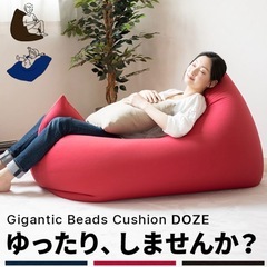 🉐超美品 ビーズクッション XLの画像