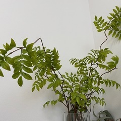 IKEA CYLINDER シリンデル  風　花瓶　2点セットの画像