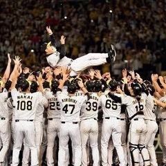阪神タイガース優勝決定試合観戦🐯