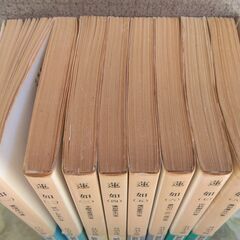【中古品】「蓮如」文庫本 文丹羽雄 中央公論社  全8巻セット揃いの画像