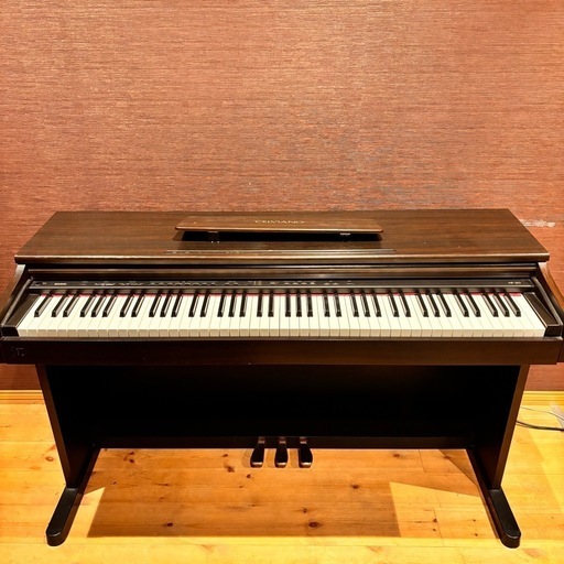1/3日限定【配達可】電子ピアノ　CASIO AP-20
