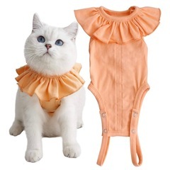 【美品です】猫用術後服 女の子用 オレンジ 
Mサイズの画像