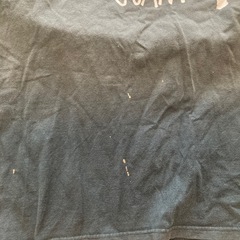 ストゥーシーTシャツの画像