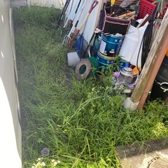 草むしりの画像