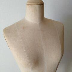 【譲り先決まりました】洋裁用　レディース　トルソーの画像