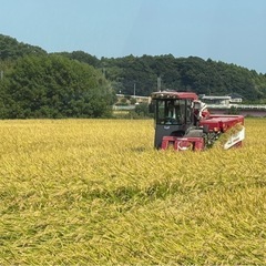 籾殻　200円で お好きなだけどうぞ！
の画像