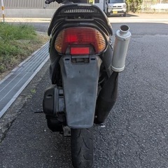 ZXの画像