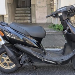 ZXの画像