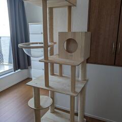 キャットタワー🐱