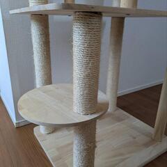 キャットタワー🐱の画像