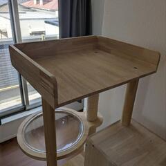 キャットタワー🐱の画像