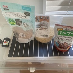 ハリネズミ　ハムスター　飼育セットの画像
