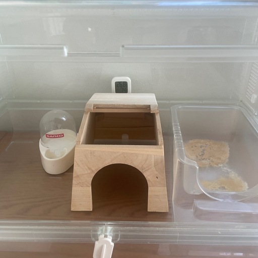 ハリネズミ　ハムスター　飼育セット