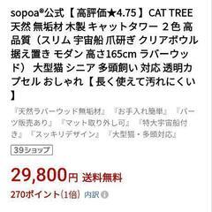 キャットタワー🐱の画像