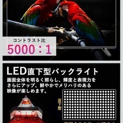 山善 Qriom 40インチ　テレビの画像