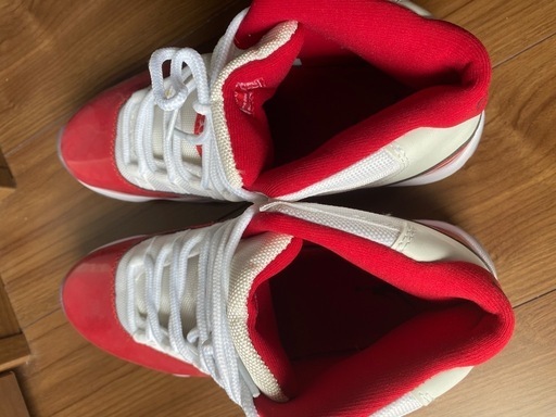 jordan11