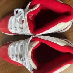 jordan11の画像
