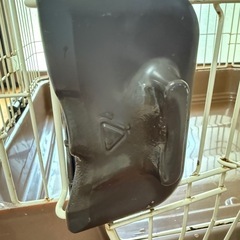 ペットケージの画像