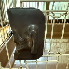 ペットケージの画像
