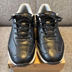 【asics】ゲルワンダー 25cmの画像