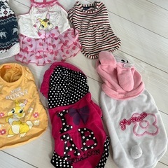 まとめ売り　ペット用服　超小型　小型　犬服　チワワの画像