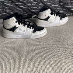 JORDAN ACCESS PS WHITE BLACK 18cmの画像