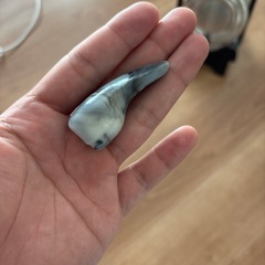 カンカラ三線の画像