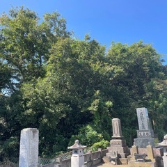 【1000坪】日立市久慈町建築条件なし！現状渡し1000坪3364㎡　地目山林、地目変更可能 - 不動産