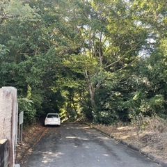 【1000坪】日立市久慈町建築条件なし！現状渡し1000坪3364㎡　地目山林、地目変更可能 − 茨城県
