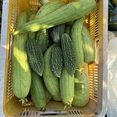 rau việt namの画像