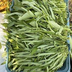 rau việt namの画像
